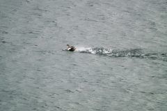 2015 Stanley Falkland Islands