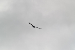 2015 Stanley Falkland Islands