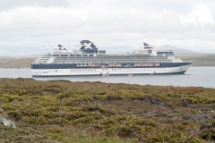 2015 Stanley Falkland Islands