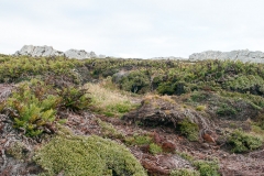 2015 Stanley Falkland Islands