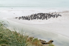 2015 Stanley Falkland Islands