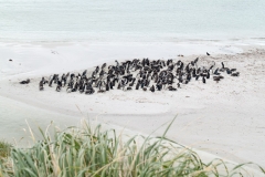 2015 Stanley Falkland Islands