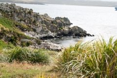 2015 Stanley Falkland Islands