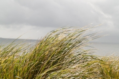 2015 Stanley Falkland Islands