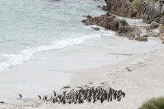 2015 Stanley Falkland Islands