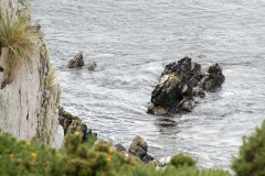 2015 Stanley Falkland Islands