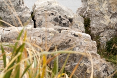 2015 Stanley Falkland Islands