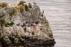 2015 Stanley Falkland Islands