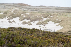 2015 Stanley Falkland Islands
