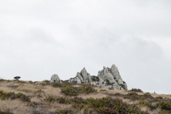 2015 Stanley Falkland Islands