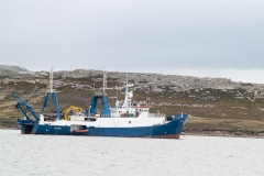 2015 Stanley Falkland Islands