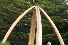 2015 Stanley Falkland Islands