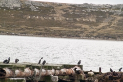 2015 Stanley Falkland Islands
