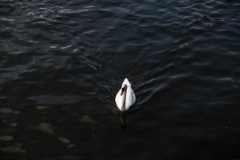 2015 Stratford upon Avon England