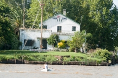 Tigre Detla