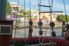 Tigre Detla