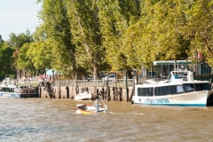 Tigre Detla