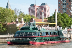 Tigre Detla