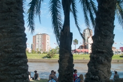 Tigre Detla
