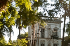 Tigre Detla