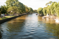 Tigre Detla