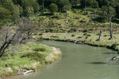 Road to Harberton Estancia