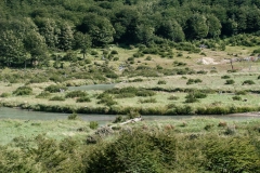 Road to Harberton Estancia