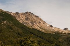 Road to Harberton Estancia