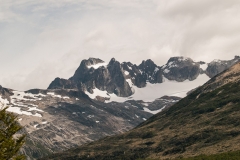 Road to Harberton Estancia