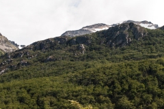 Road to Harberton Estancia