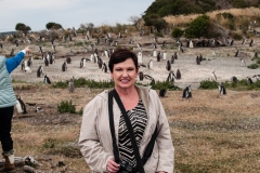 Walk with Penguins