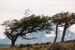 Road to Harberton Estancia