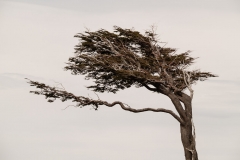 Road to Harberton Estancia