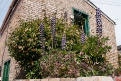 Haberton Estancia
