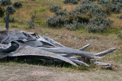 Haberton Estancia