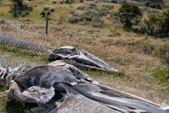 Haberton Estancia