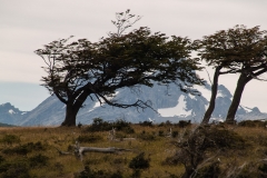 Road to Harberton Estancia