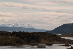 Road to Harberton Estancia