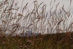 Haberton Estancia