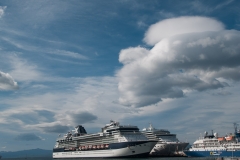 Road to Harberton Estancia