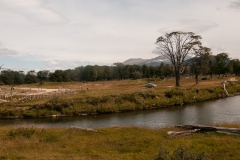 Road to Harberton Estancia