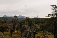 Road to Harberton Estancia
