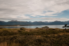 Road to Harberton Estancia