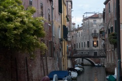 2015 Venice