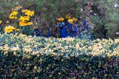 2015 Warwick Castle England