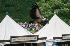2015 Warwick Castle England