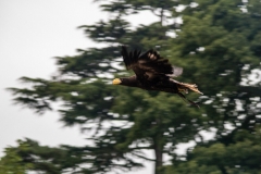 2015 Warwick Castle England