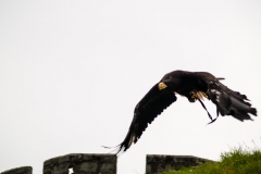 2015 Warwick Castle England