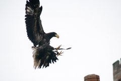 2015 Warwick Castle England