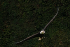 2015 Warwick Castle England